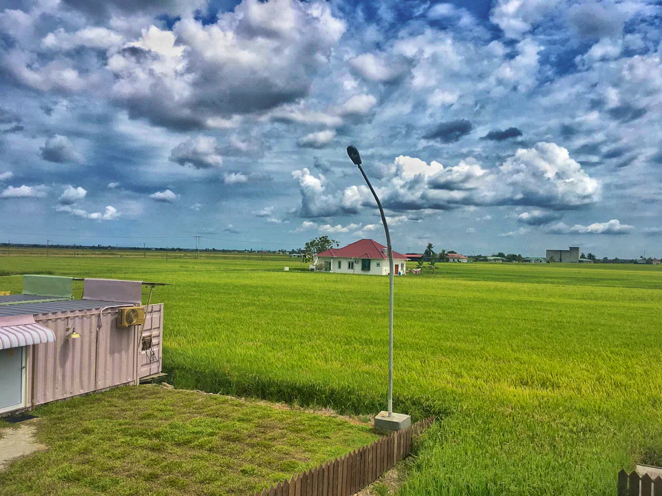 Sekinchan Paddy Field & Fishing Village Tour